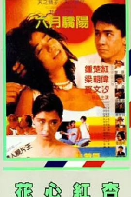 国产免费一区不卡在线
