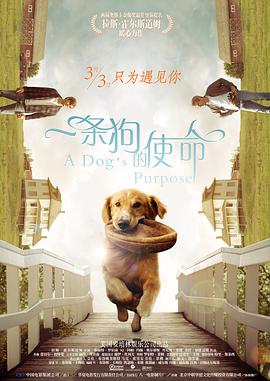 性生活三级视频