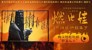 24 小时成人在线视频